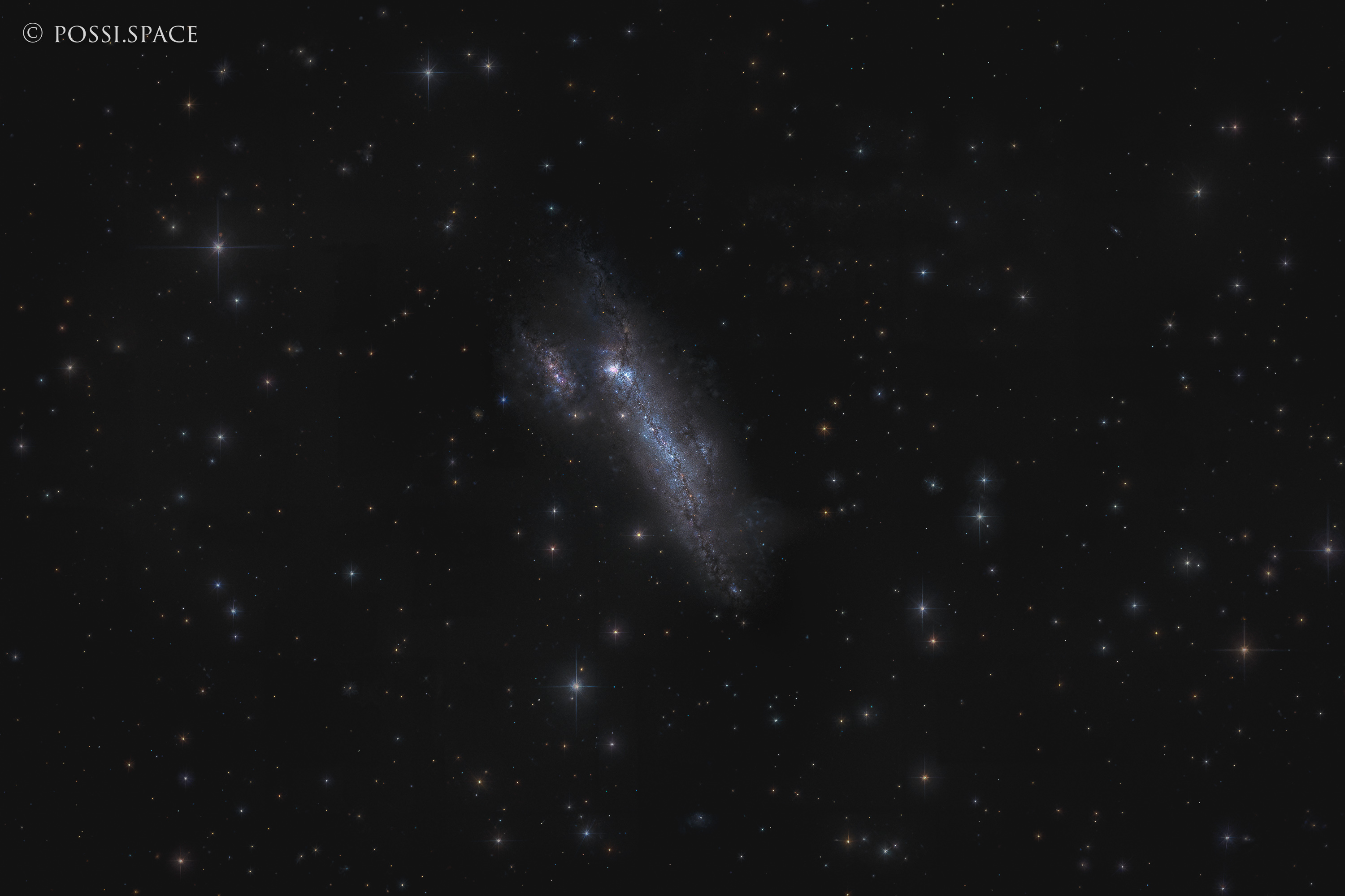 260328_ngc2366_faint_irregular_dwarf_galaxy_-_cdk_nativ_lrgb.jpg