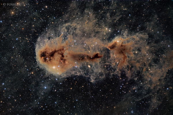 240903_ldn1251_angler_fish_nebula_-_rasda36_rggb.jpg