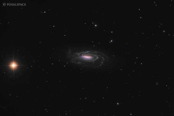 250201_ngc5033_waterbug_galaxy_-_cdk17_reduced_lrgb.jpg