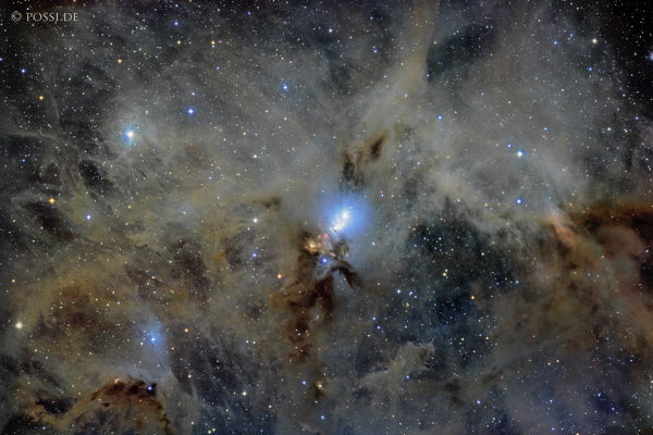 241027_ngc1333_reflection_and_dark_nebula_-_rasa36_rggb.jpg