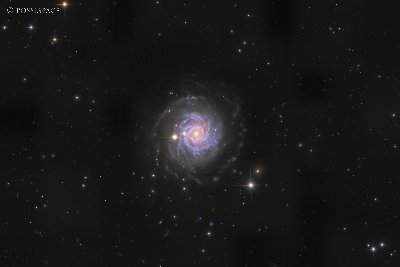NGC3344 – Weak Spiral Galaxy